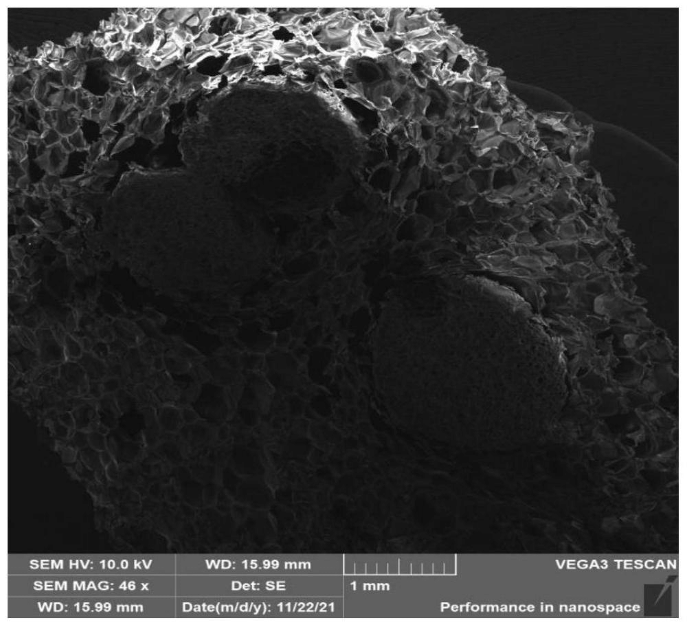 一種改性可發(fā)性聚苯乙烯顆粒、制備方法及其應(yīng)用
